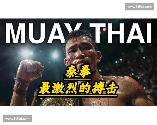 相扑对决泰拳的力量速度与规则碰撞谁更占优解析格斗比较全面研究