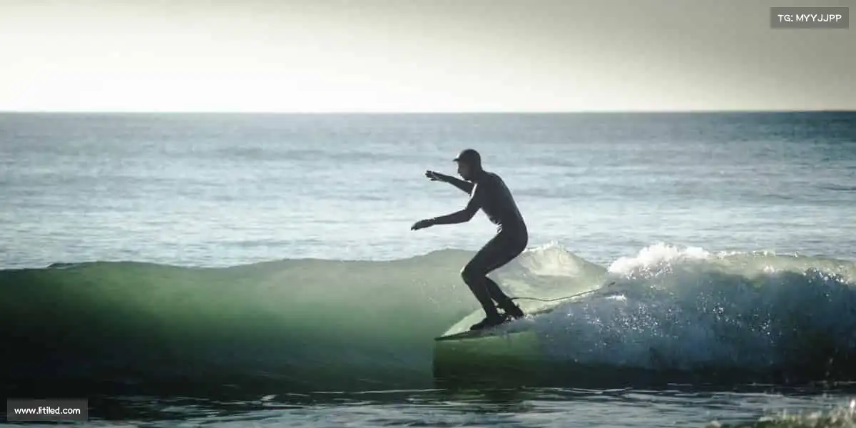 我们的品牌价值